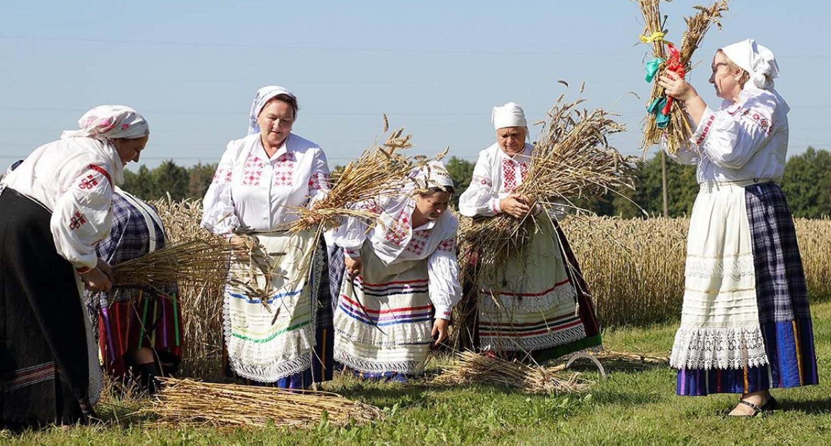 Жатва